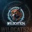 Wildcat Modifications